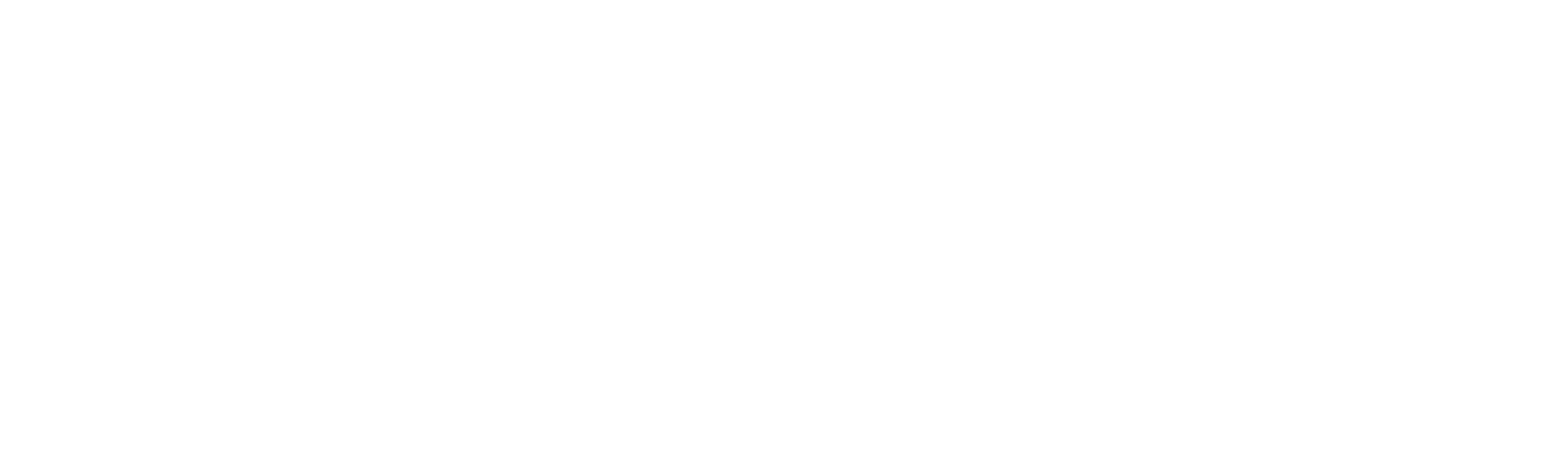 Splunk_logo white copy