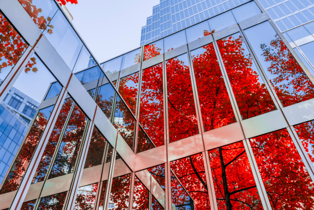 Autumn leaves reflecting on office building